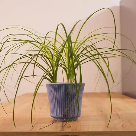 Lux 1 With Free Parking * Plovdiv